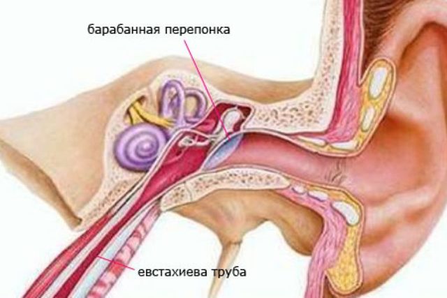 dbcb077f0da4affe0c4118910631ec92.jpg